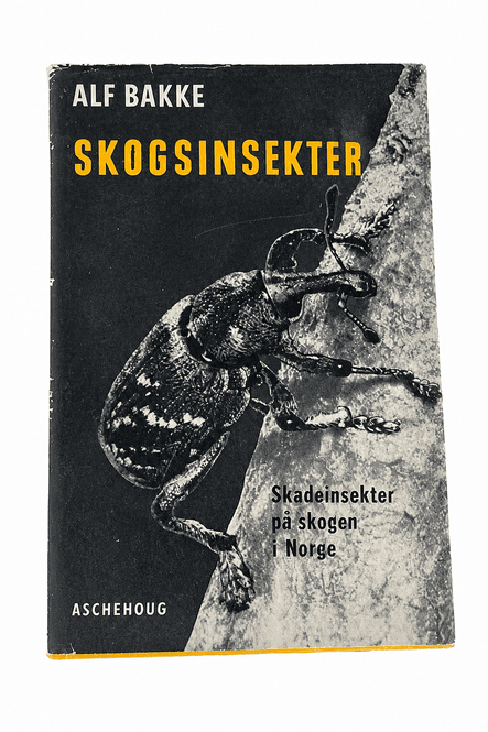 Hovedbilde Skogsinsekter – Skadeinsekter på skogen i ...