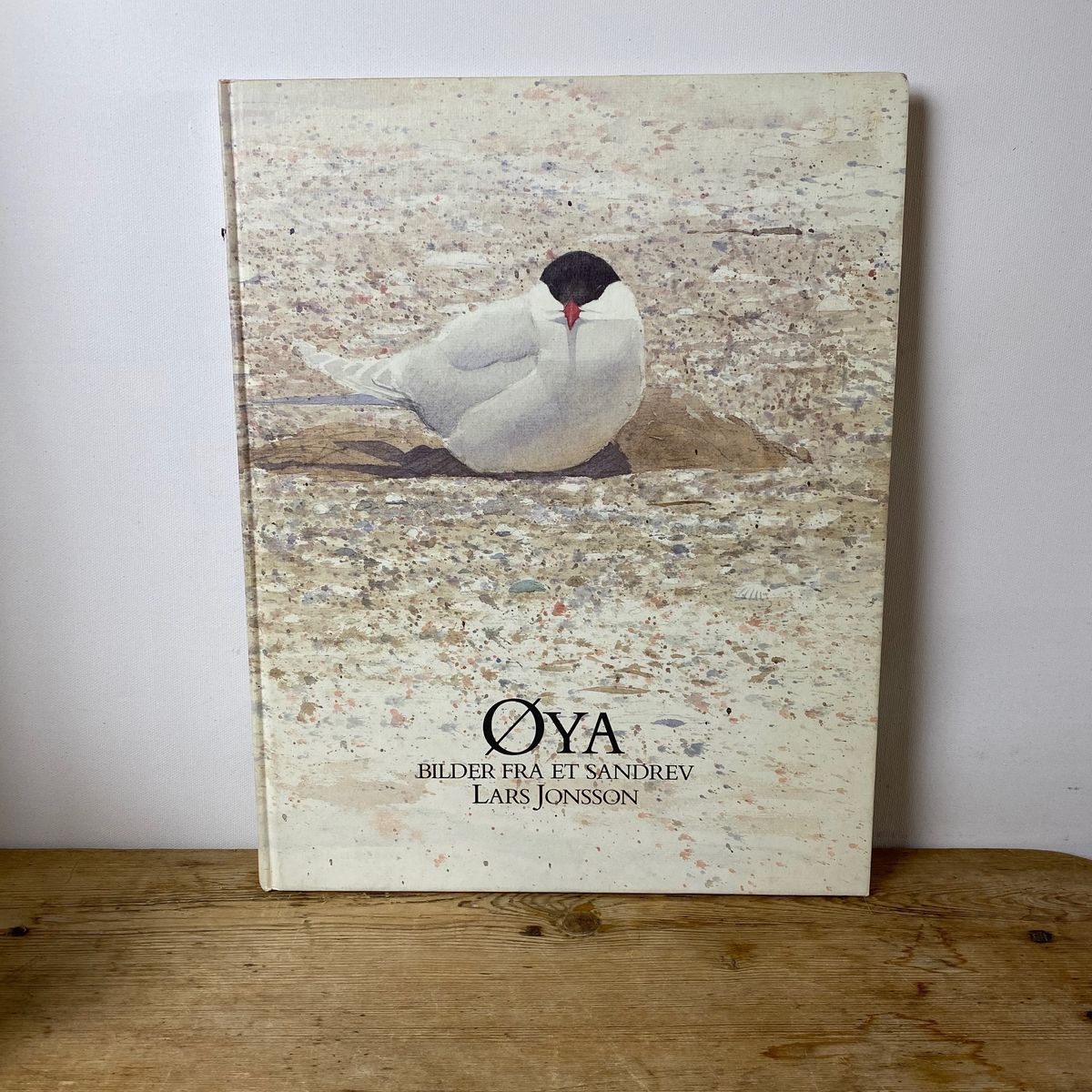 Lars Jonsson - Øya - bilder fra et sandrev