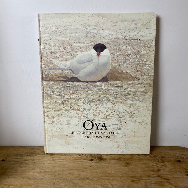 Hovedbilde Øya - bilder fra et sandrev